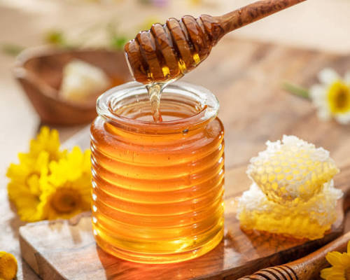 برگزاری نمایشگاه محصولات زنبورداری و گرامیداشت روز ملی عسل در تهران